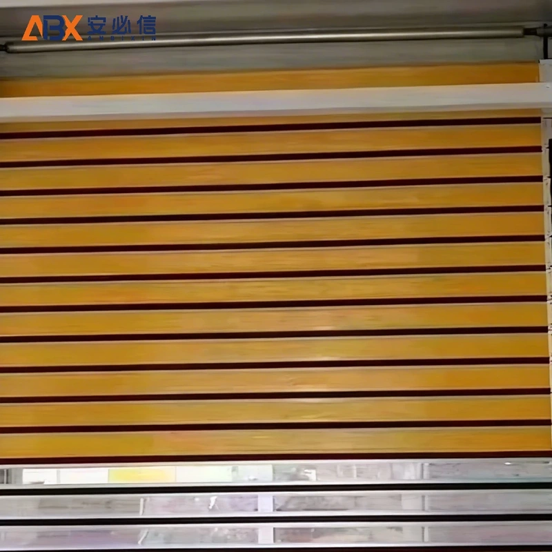日喀则市感应高速门
